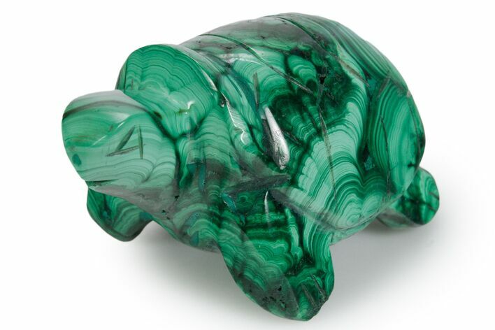Flowery Malachite Turtle Carving - DR Congo #349301